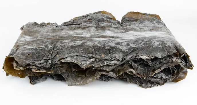 
304 stainless steel kelp and octopus cleaning and washing machine 