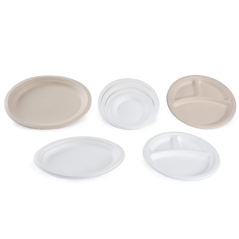 Environmentally 100% Natural Compostable Sugarcane Bagasse Environmentally Takeaway Plant-based Food Containers