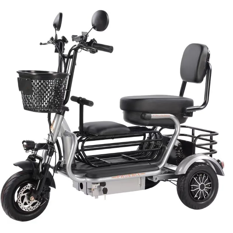 Wholesale Price 500W 48V 20Ah 10 Inch Cargo Electric Bike Sccoter 3 Wheel For Adults electric tricycle