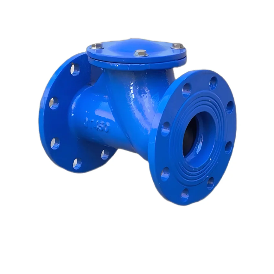 Fast Delivery Durable Rubber Flap Check Valve for Fluid Control Applications With Easy Installation and Reliable Performance