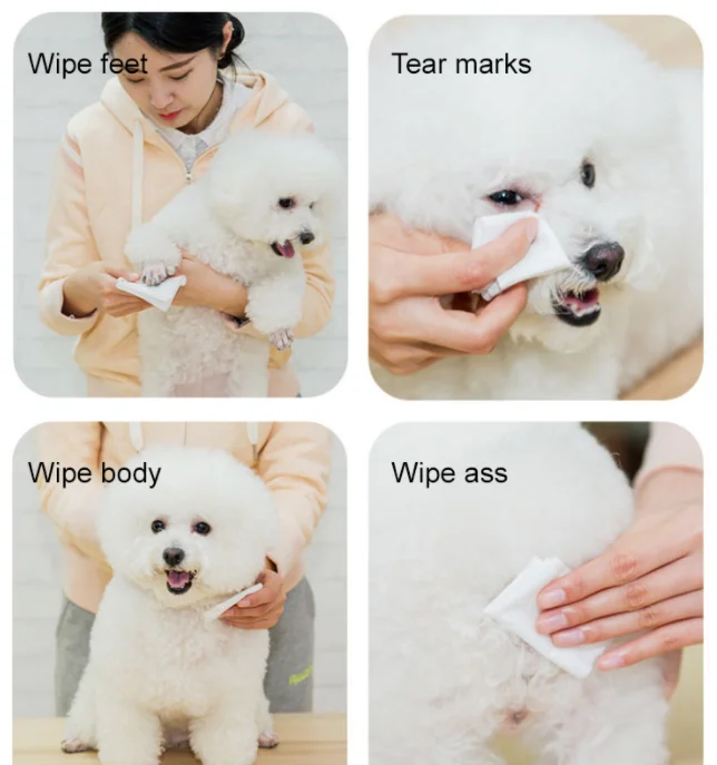 
Custom Material Non-Woven Non-Alcohol Dog Clean Oem Pet Wipes 