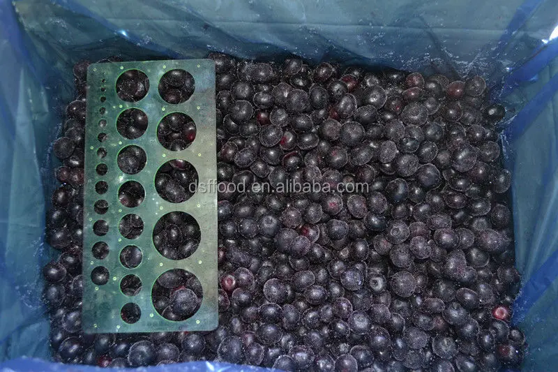 HACCP китайская iqf клубника Китай экспортная оптовая продажа IQF Замороженная черника