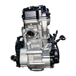 Zongshen Engine Engine 250cc Engine Zongshen 4-valve 6-speed 4-stroke Nc250 for Ktm for Kawasaki Silver Sea 4 Stroke 6 Mointh