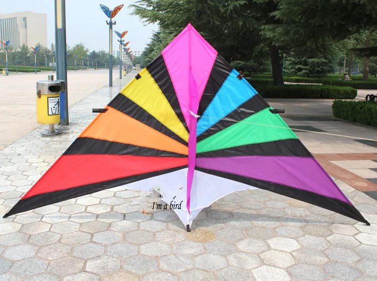 China outdoor sport 2.8m large delta kite