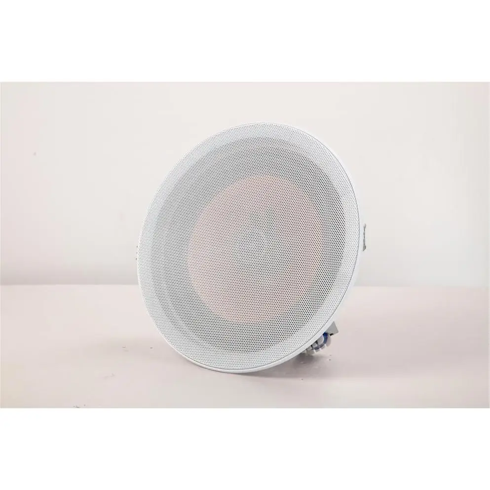 Amplifier Monoblock Full Range Cone Big Sub Woofer Outdoor 8 inch Surround Professional Passive Voice Coil Ev In- Amplifier