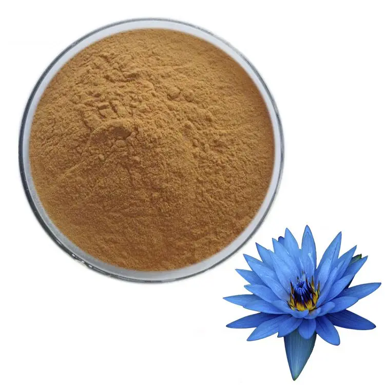 Wholesale Food Grade Herbal Supplement Blue Lotus Flower Extract Powder Blue Lotus Extract