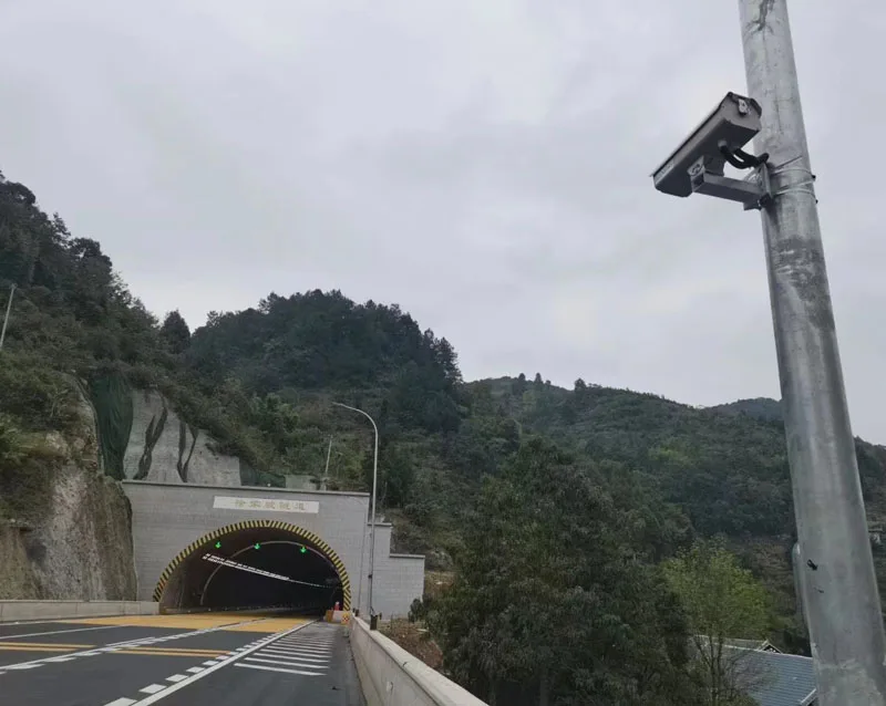 Automatic Street Light Control bases on motion sensors network - smart lighting solution that creates a network over power lines