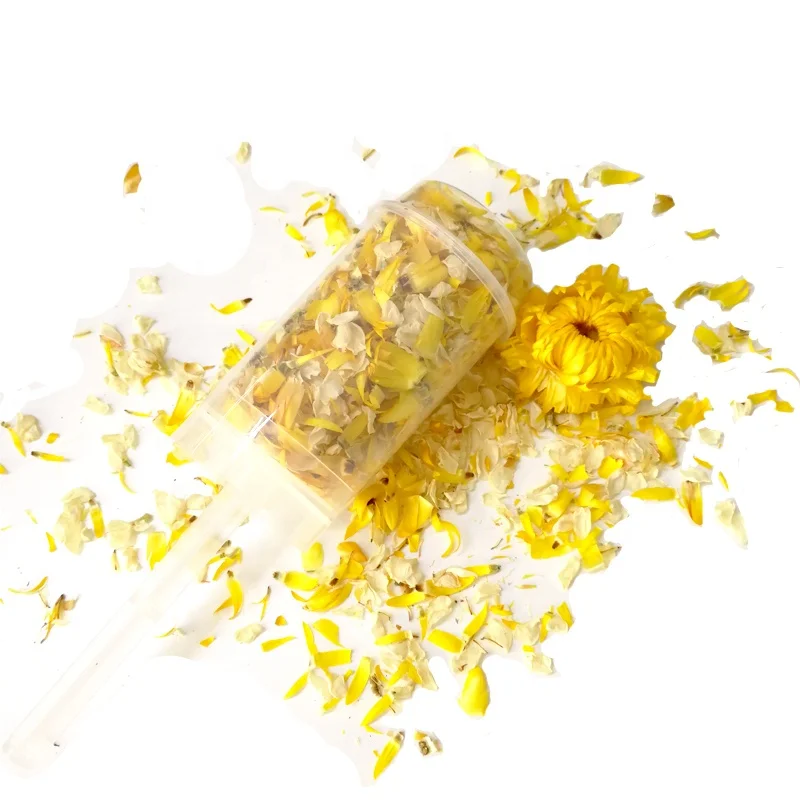 Top Sellers Party Popper Push Pop Confetti Cannon for Child Kid