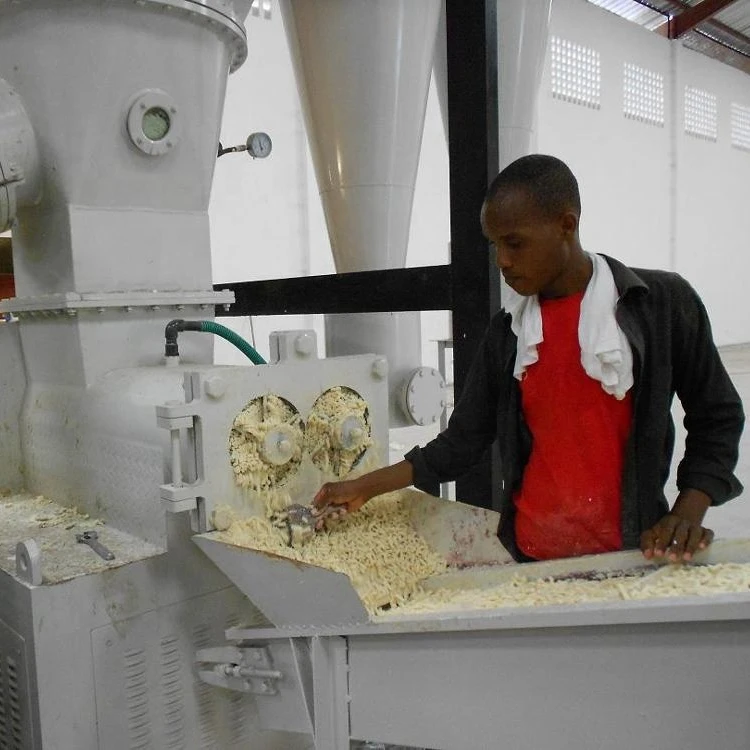 Soap noodle making machine