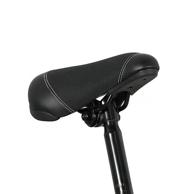 NEWBIE Real Manufacturer 20 Inch Unisex Rainbow Paint Freestyle Racing Stunt Bike