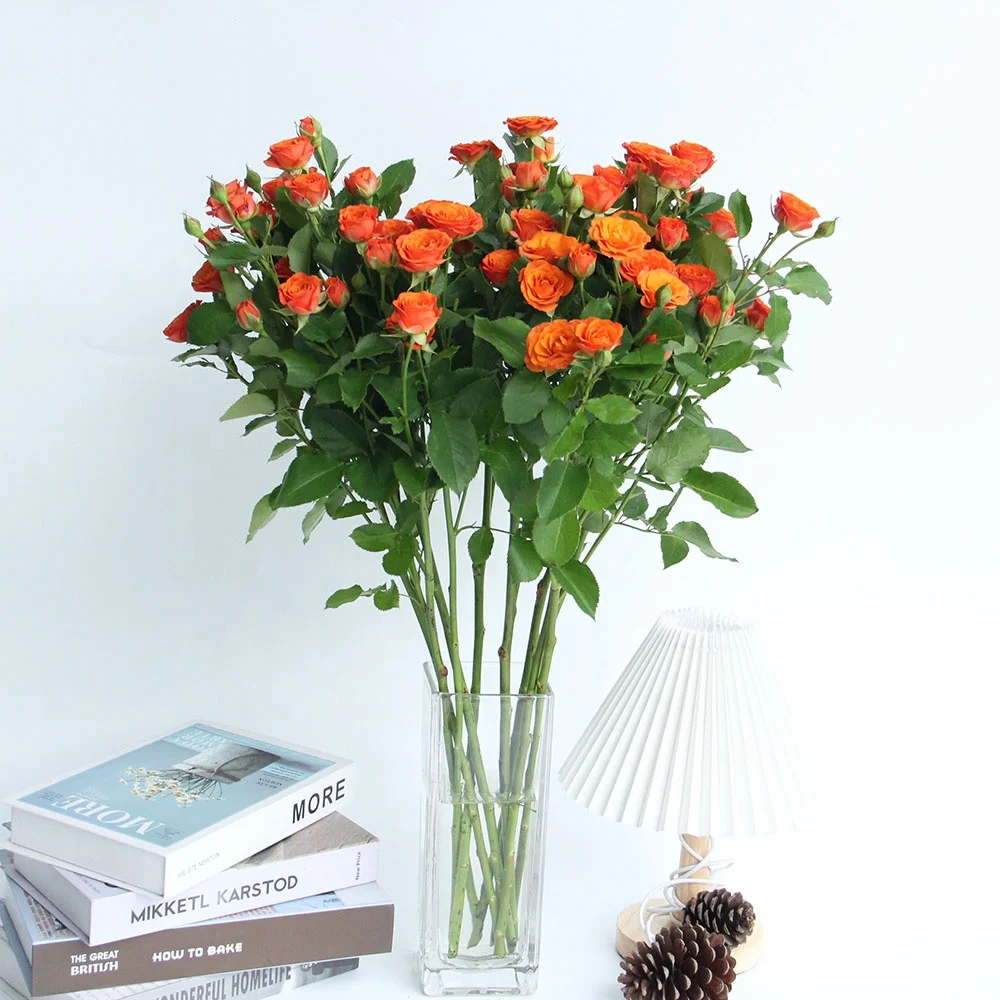 Competitive Price  Fresh Cut Flowers Spray Head Roses 10 stems  Orange Barbie for Home Valentine Flower Arrangement Decoration