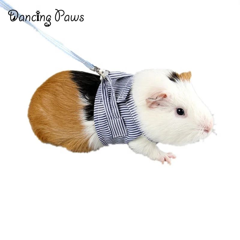 Новый Красный Синий Полосатый Регулируемый Маленький поводок для домашних животных хлопковый ошейник морская свинка кролик поводок для прогулок