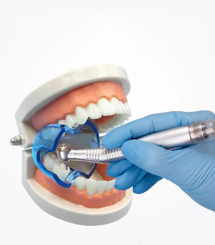 2022 новый дизайн, открывалка для рта, интраоральный прозрачный Ретрактор для губ и щек, удлинитель, передний и задний резак для зубов
