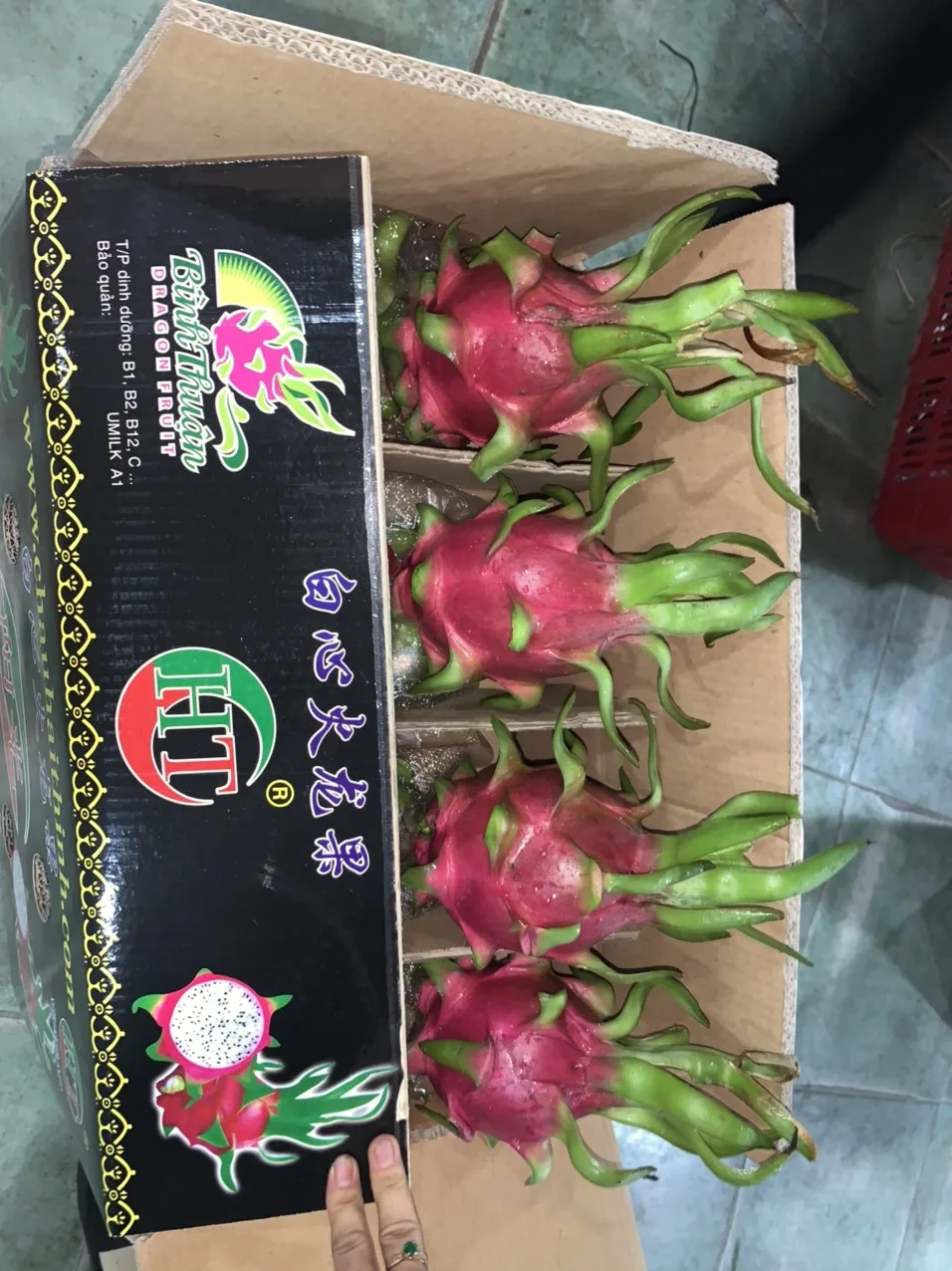 
High quality-fresh sweet dragon fruit from Viet Nam 
