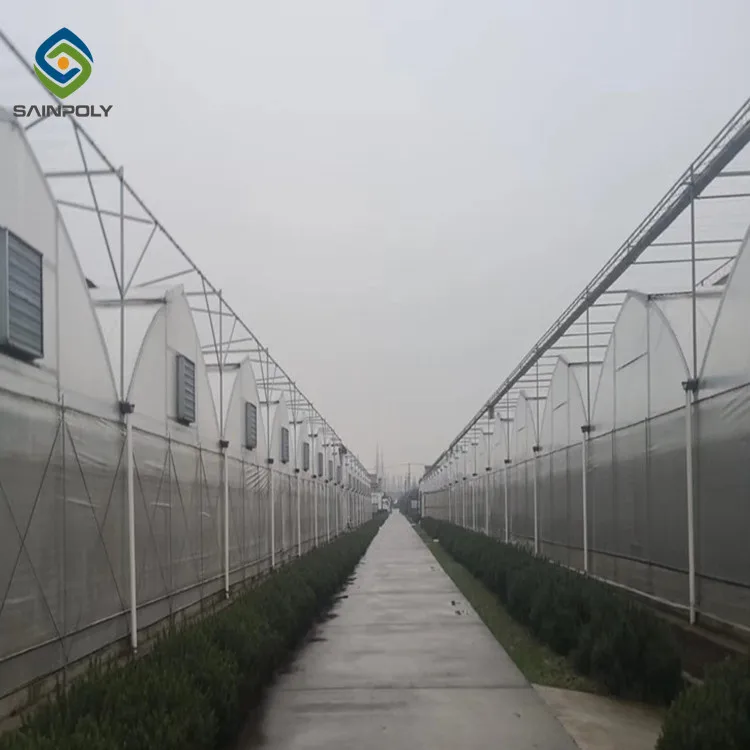 Professional Large Multi functional Agriculture Multi-Span Tomato Hydroponics Tunnel Film Greenhouse