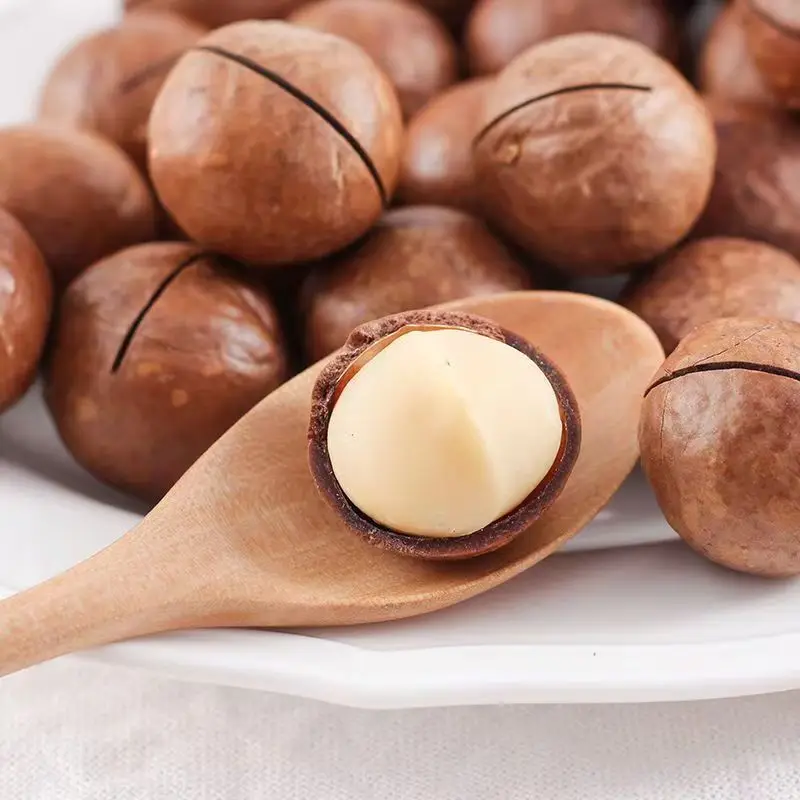 China New Crop Original Flavor  vietnam raw macadamia nuts in shell
