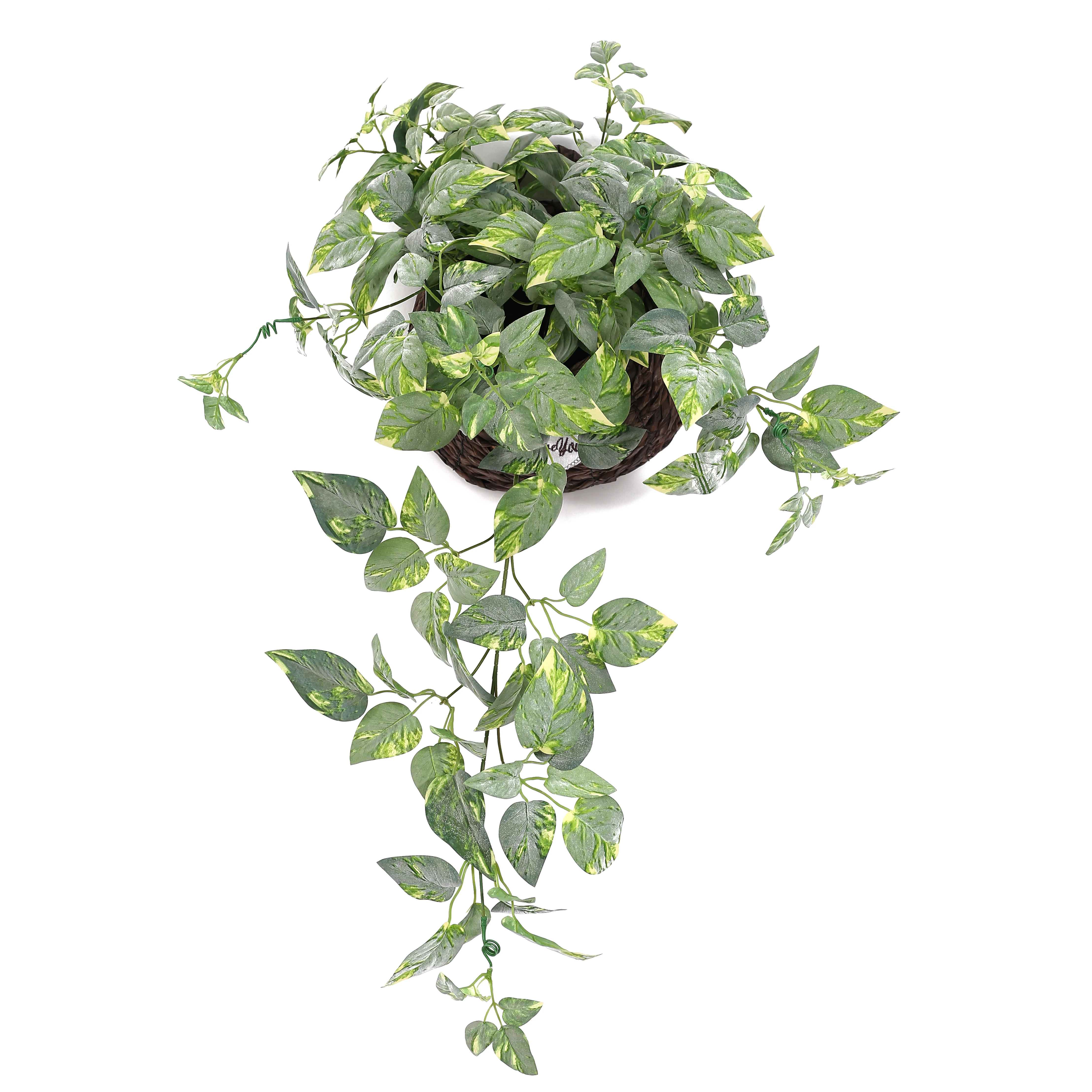 Faux Green Decorative Leaves Party Garland Plastic Coated Dieffenbachia Vines Artificial Leaf Wall Hanging Plants Vine