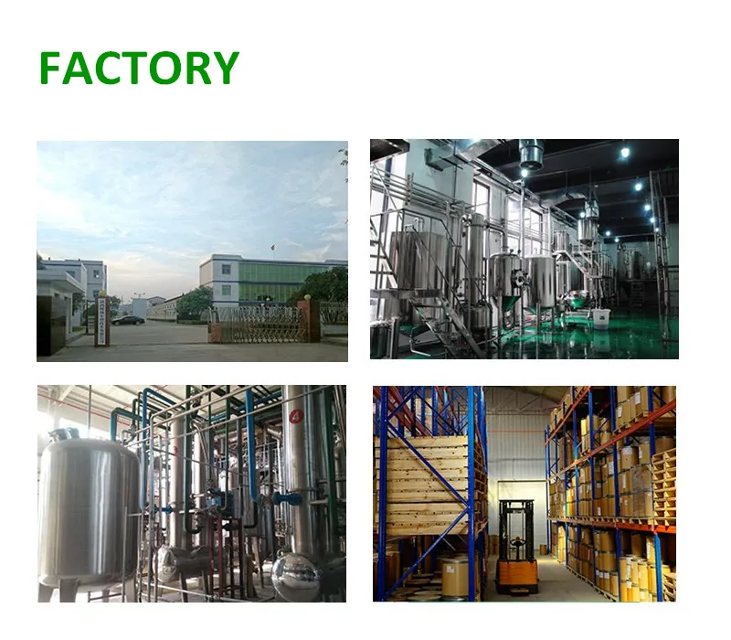 
High Quality Biotin Powder Price 1% 2% 98% Vitamin H Biotin For Hair And Skin With free sample 