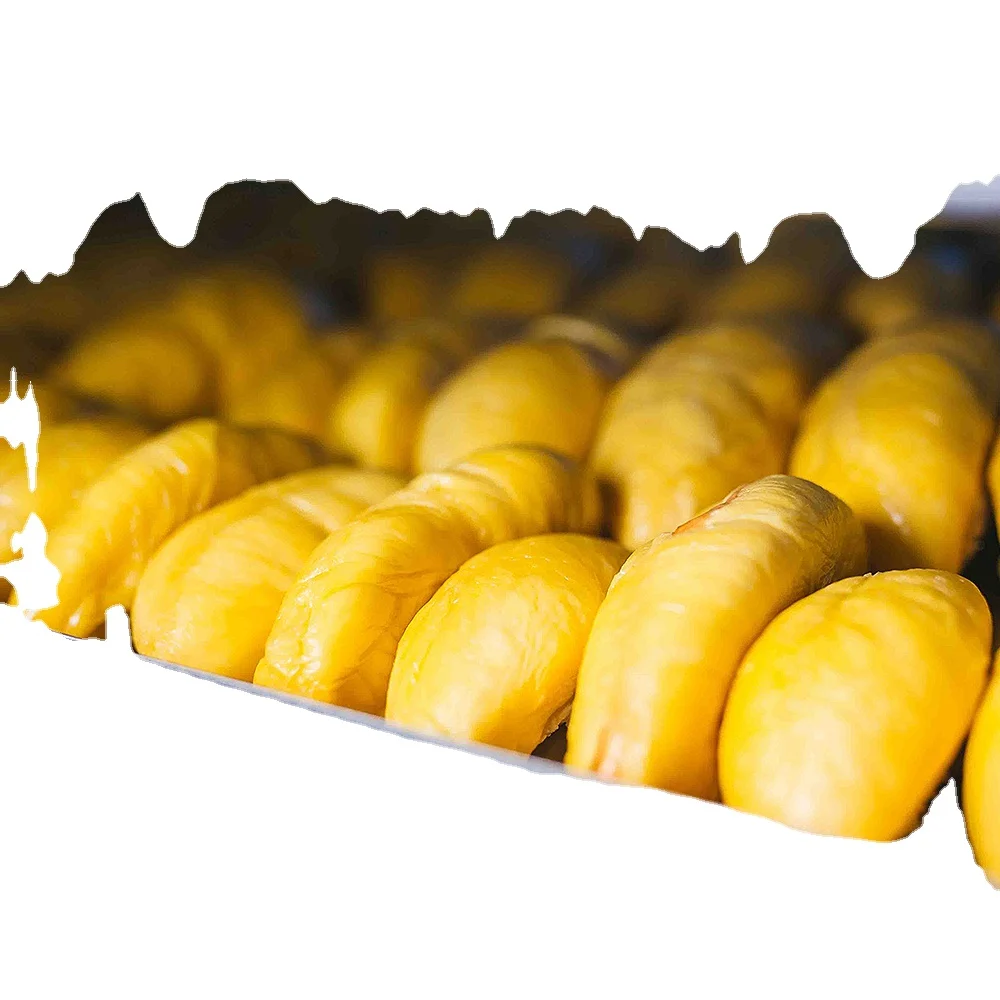 
100% Hgh Quality D24 Frozen Durian Pulp 