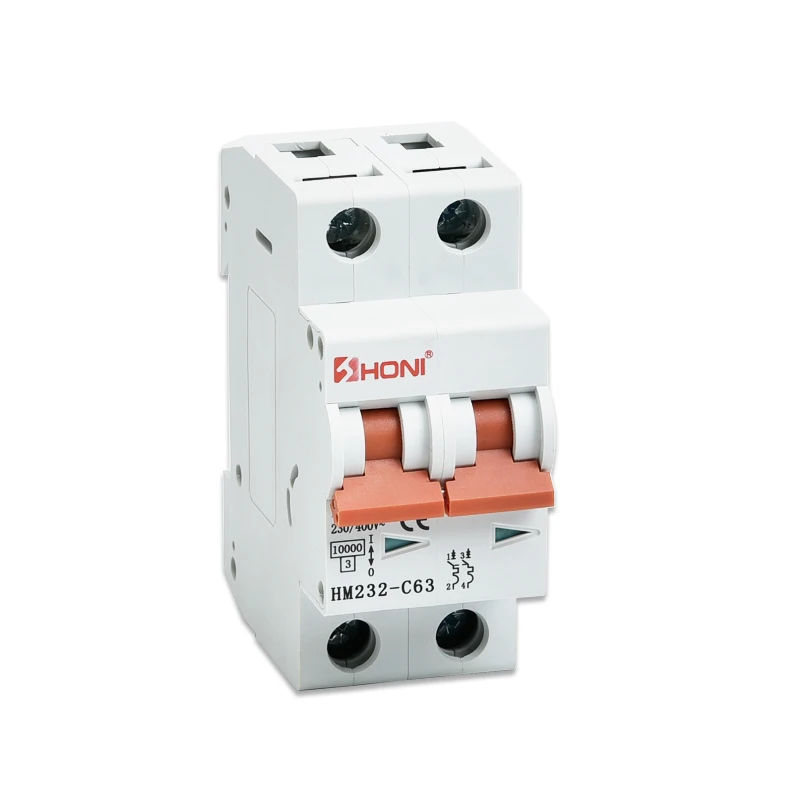 electric 2p 32A 40A 20amp MCB 6KA/10KA 230/240V 63A SAA CE Ac Miniature Circuit Breaker