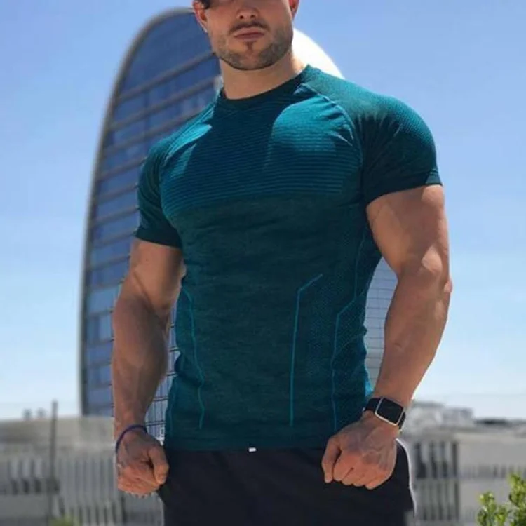 Wholesale custom sport fitness wear short sleeve seamless bodybuilder gym t shirt for men