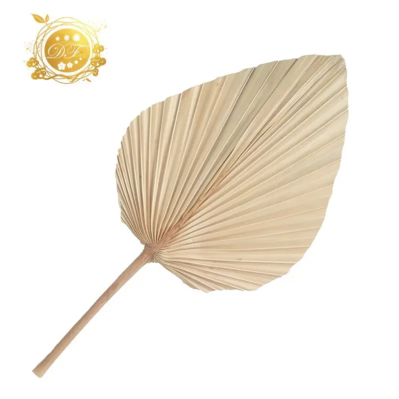 new design wholesale  palm trees leaves decorative dried palm leaves