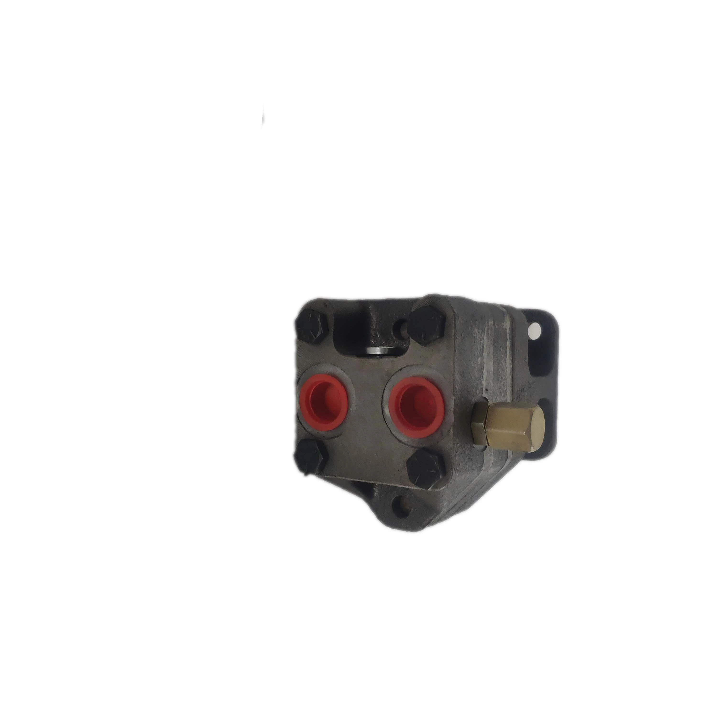hydraulic motor