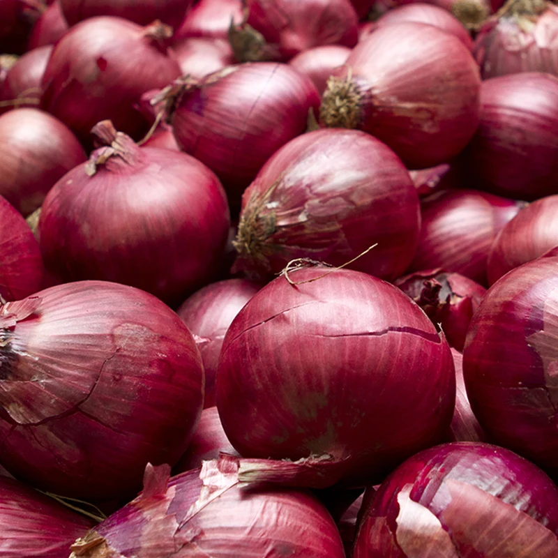 Spices Wholesale 100% Natural Frozen Onion Vegetable Whole Herbs Chinese Peeled Onions Granules Fresh Green Onion