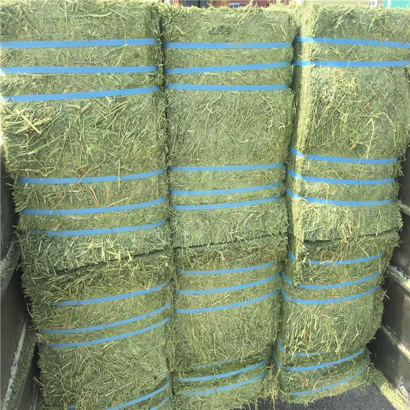 T&H Top Quality Alfalfa Hay Cubes Lucerne Hay Alfalfa Meal Bales for Sale Animal Feeding