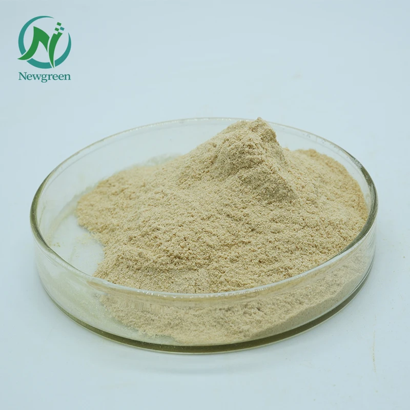 Bulk Order Supply High Quality Xylanase XYS Type Food Grade Enzyme Preparation