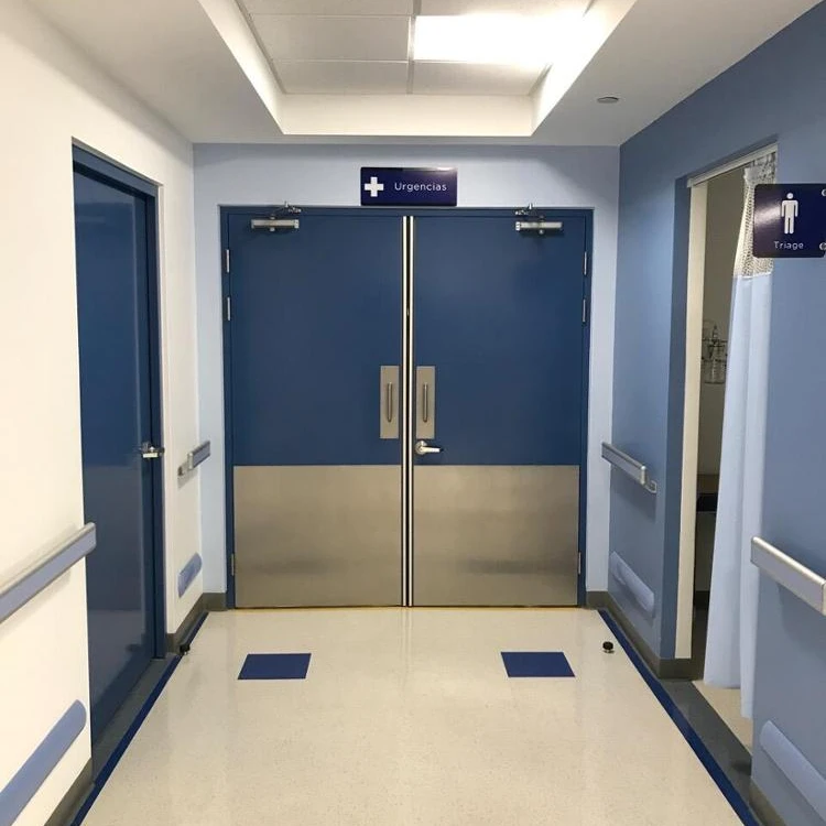 Hospital Door