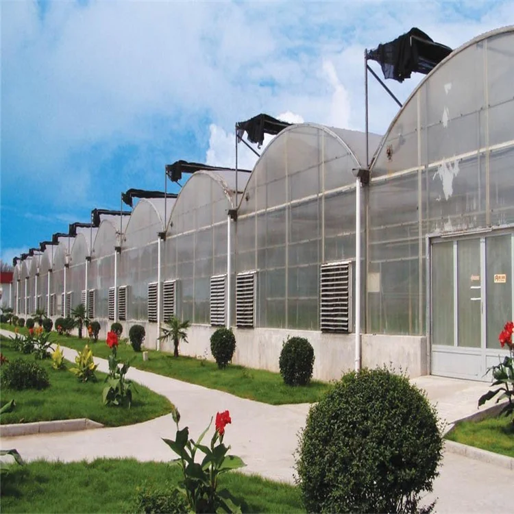 
cheap agriculture serre agricole multi-span glass greenhouse automatic strawberry greenhouses 