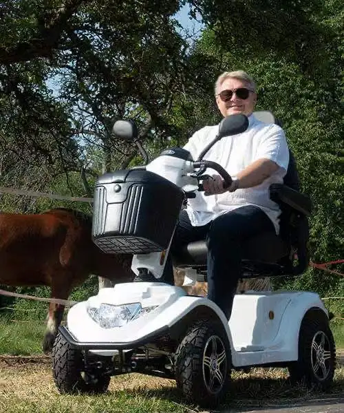 Out Door Mobility Scooter Large Size Mobility Scooter Ruidi R8-S Rice Motorcycle Accessories Ce Monopattino 24V CN;ZHE