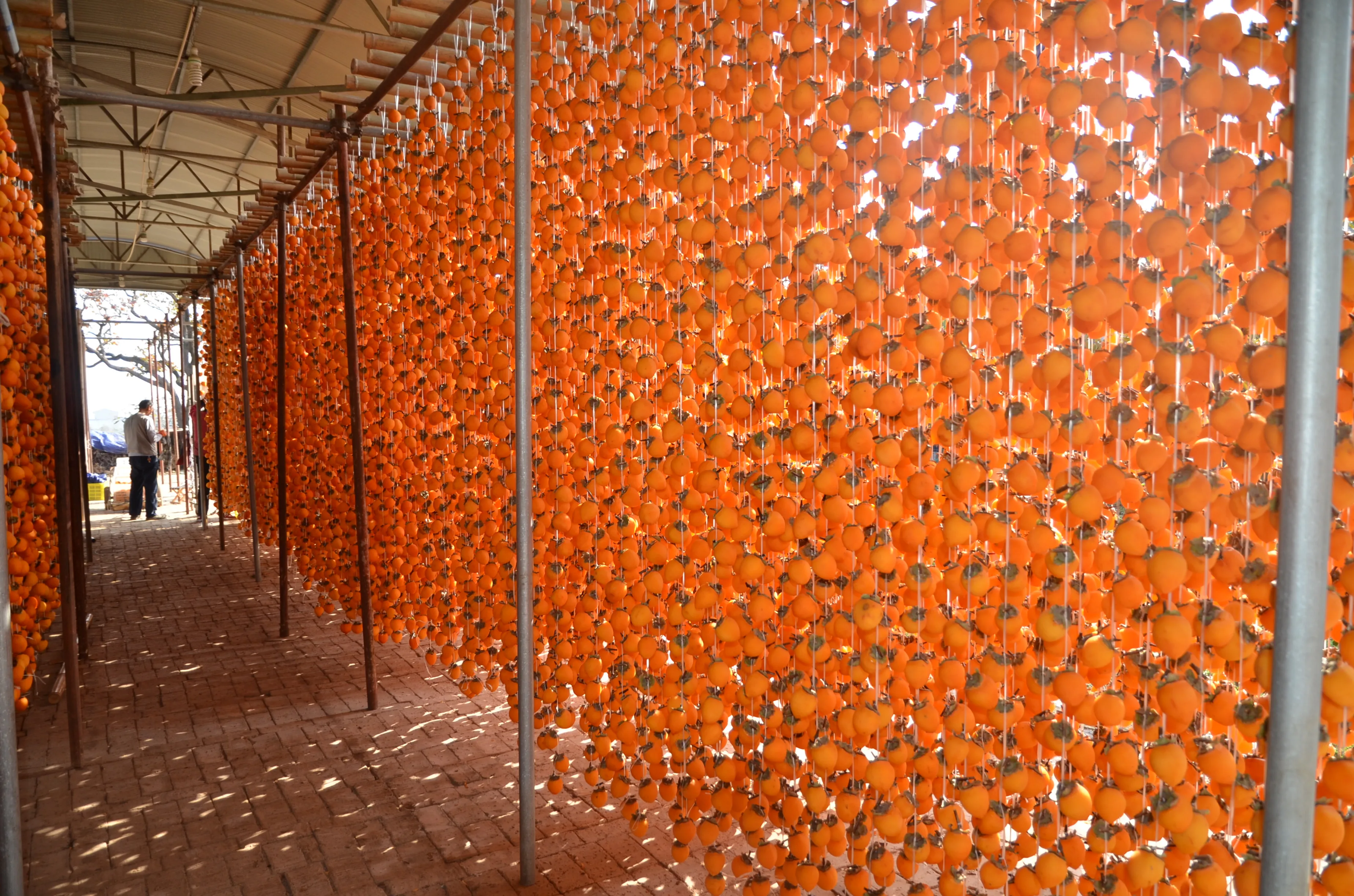 Soft Dried Persimmons Hoshigaki Snacks Most Popular in Korean