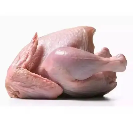 Низкая цена хорошее качество халяльная куриная 100% без костей свежая и замороженная Высококачественная цельная курица для продажи