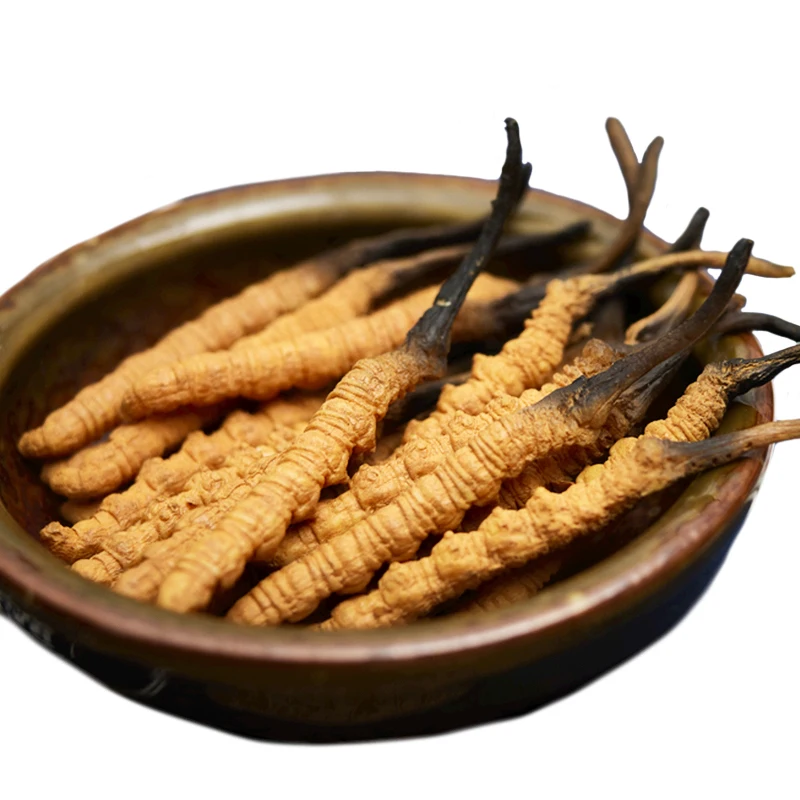 Wild plateau snow Cordyceps Sinensis Tibet Naqu Cordyceps wholesale dry goods