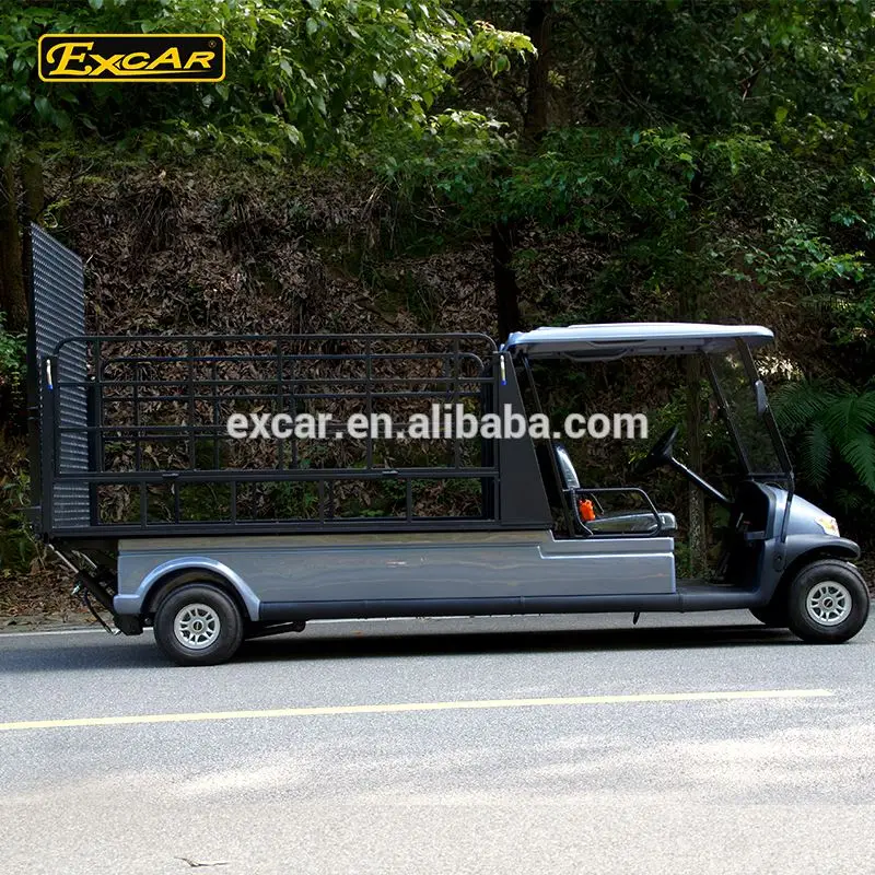 EXCAR Electric utility Cart 48V 2 seats Electric Golf Cart hotel buggy car electric truck