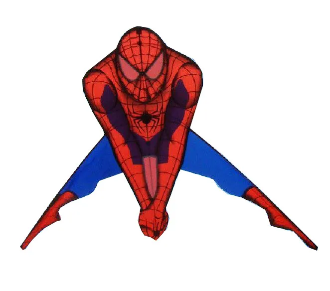 Factory Direct Delta Kite Customized For Sale