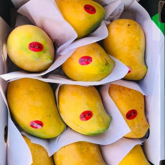 mango kite keet egyptian for ecporting amazing quality amazing price