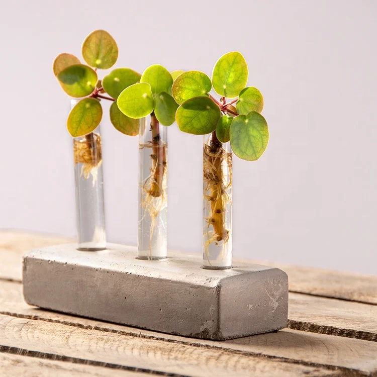 Wholesale Glass Flower Plant Holder Vase Tubes Propagation Station concrete base  Cuttings tubes set