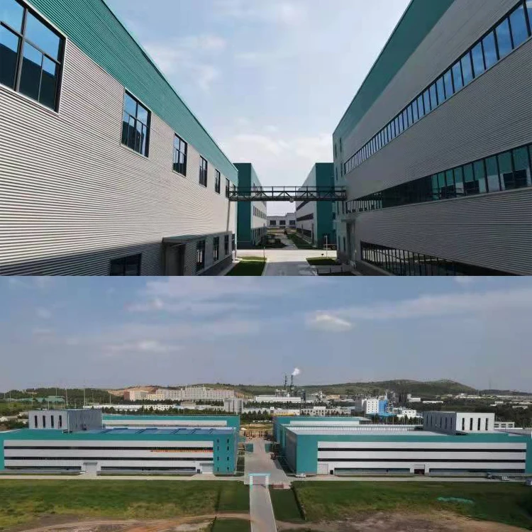 Tablets Solubility Enhancer Excipient Organic Supplement Advantageous Natural Polysaccharide Pullulan