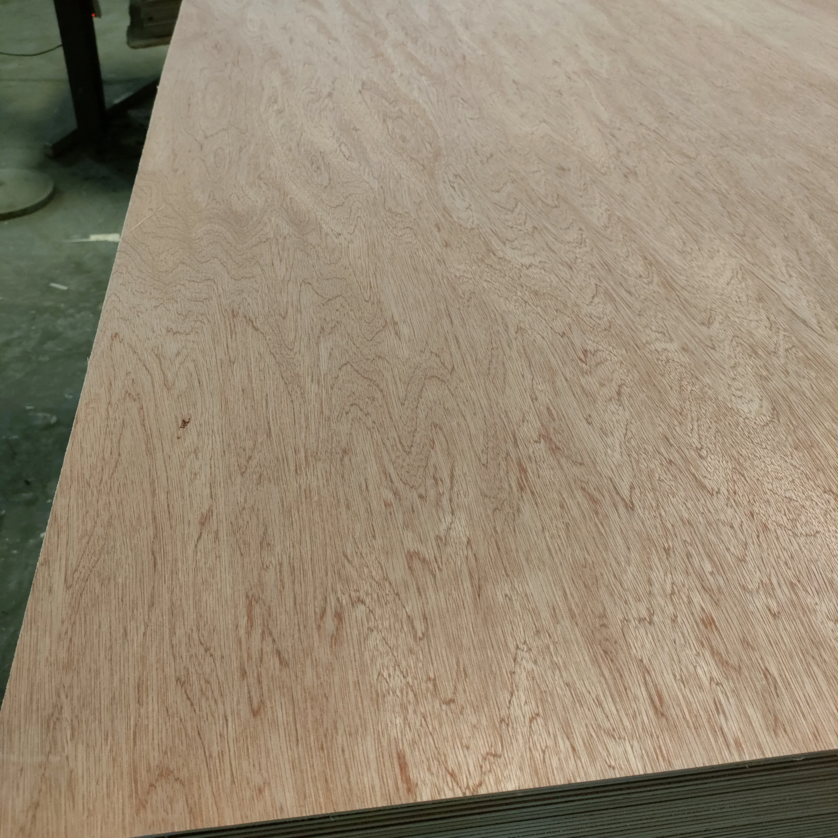 Plywood Bintangor Okoume Birch Pine Faced Plywood