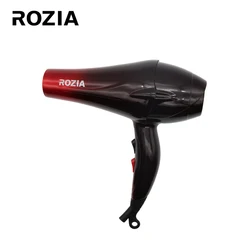 premium hair protection with anti-static effect professional hair dryer with high speed DC motor