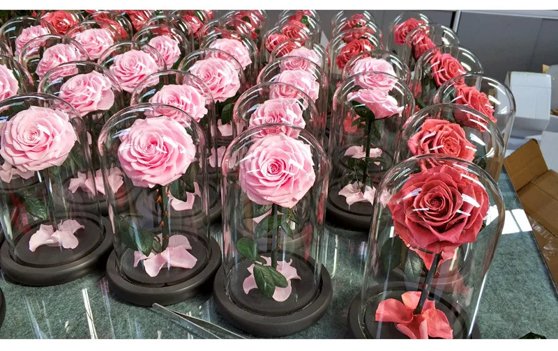 Wholesale Beauty Beast Enchanted Bella Rose preserved rose dome preserved rose in glass
