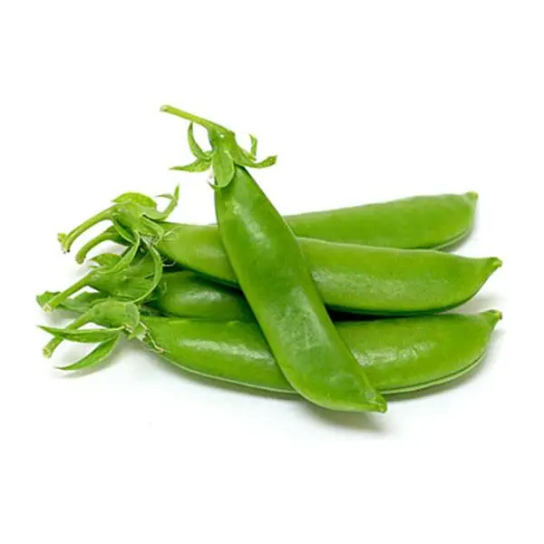 Factory direct low price delicious Snap pea fresh vegetables high quality Snap pea