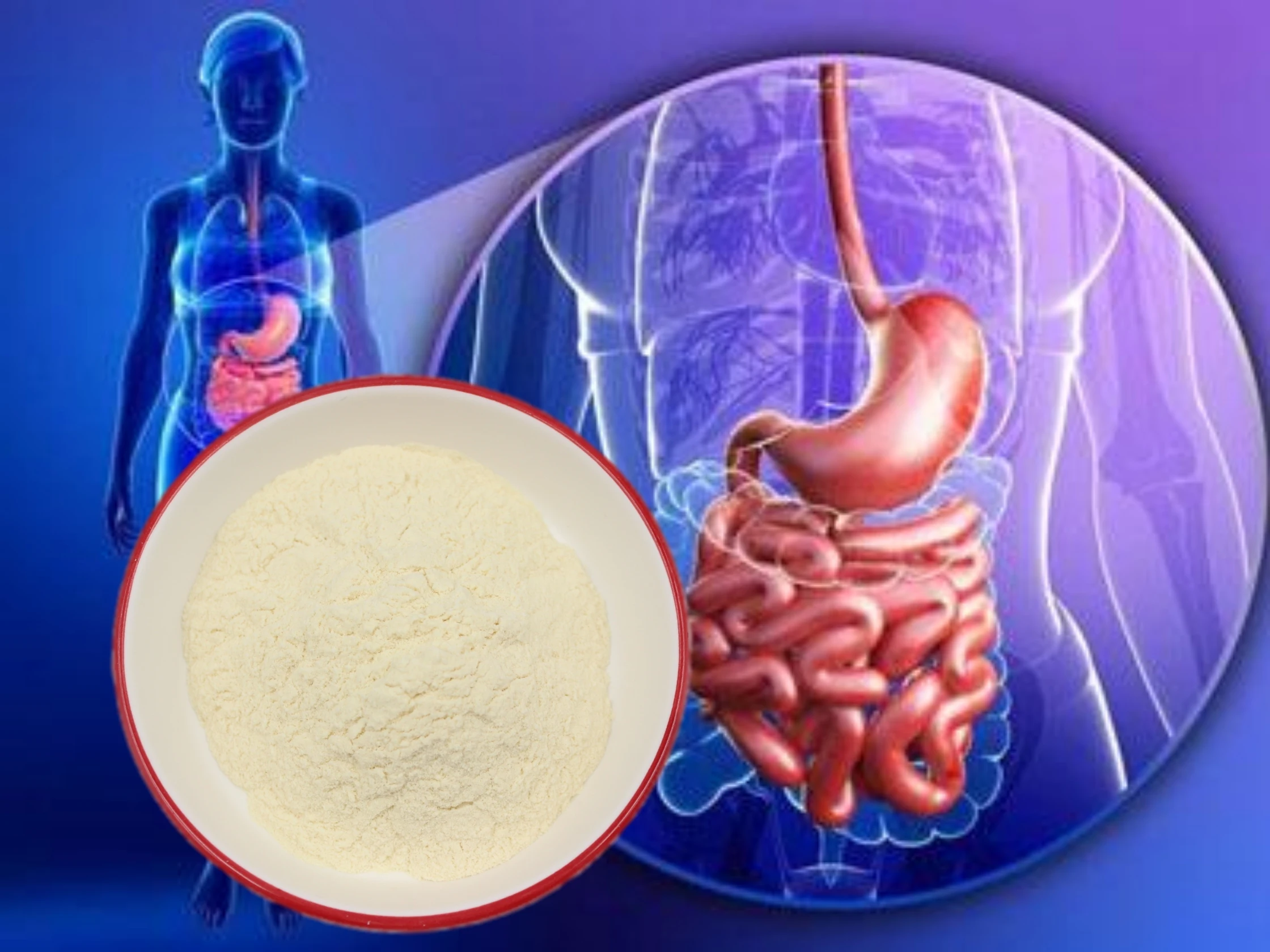 
High quality probiotics Lactobacillus plantarum health free samples 