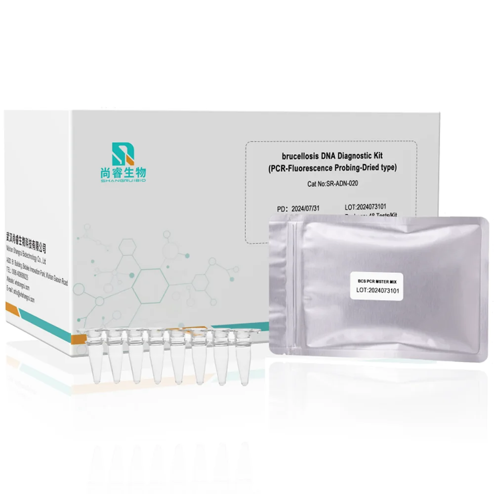 Brucella abortus Крупный рогатый скот в реальном времени PCR rtpcr комплект для сушки на воздухе крупного рогатого скота qPCR тестовый набор от производителя