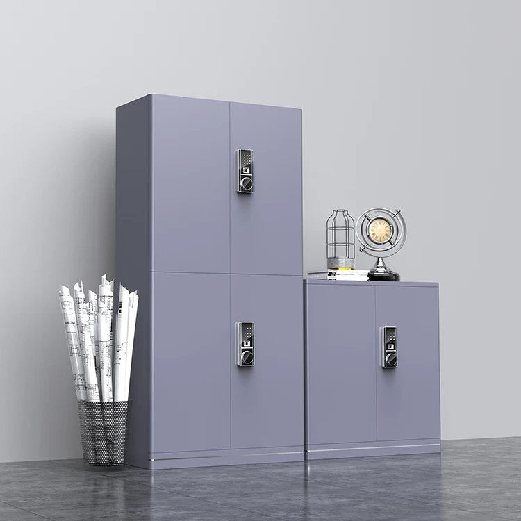 Office Cabinet 2 Door Steel Filing Cabinet Metal Office Filing Metal Storage Cabinet