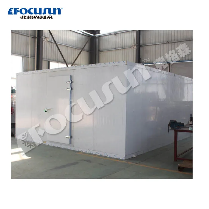 FOCUSUN cold room freezer for ice storage vegetables fruit meat
