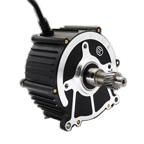 Brushless Dc 48V 1000W Gear Rickshaw Kits For Pmsm Motor48v Conversion 60V 72V 800W Tricycle Electric Motor Kit